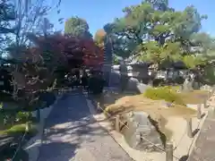 崇福寺の庭園