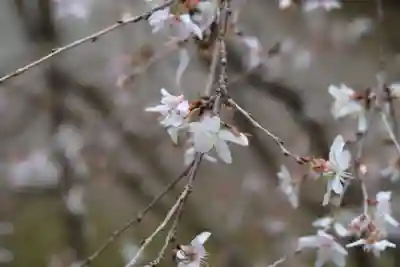 西明寺(滋賀県)
