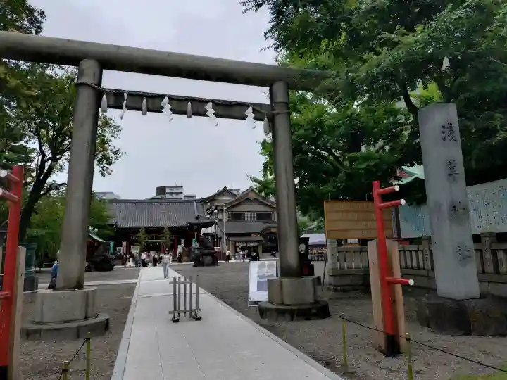 浅草神社の鳥居