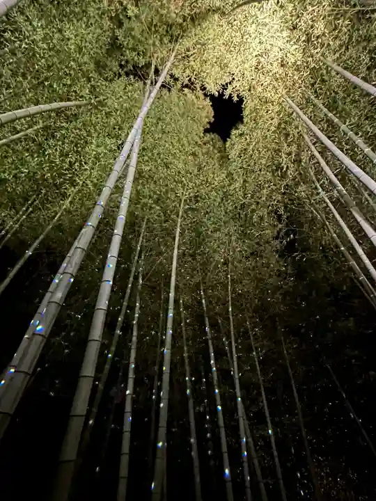 高台寺(高台寿聖禅寺・高臺寺)(京都府)