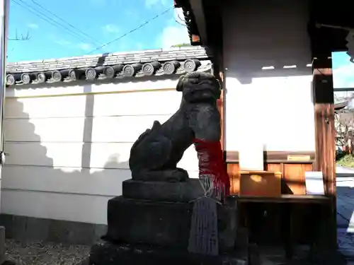 御霊神社の狛犬