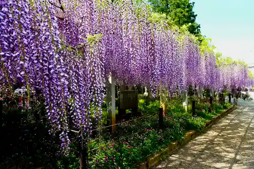 三大神社(滋賀県)