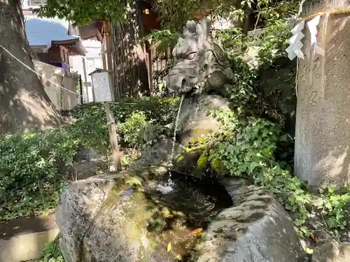 松戸神社(千葉県)