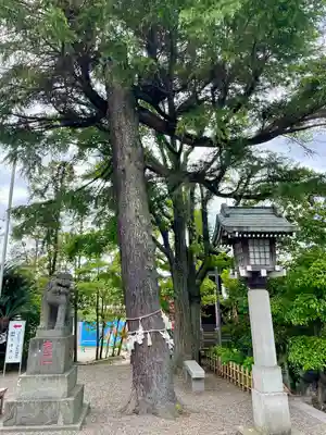 八剱八幡神社(千葉県)