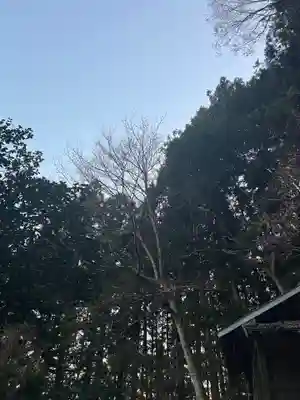 大宮温泉神社(栃木県)