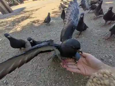 四柱神社(長野県)