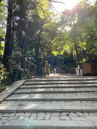 春日大社(奈良県)