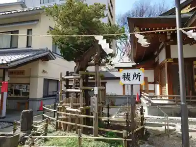 歌懸稲荷神社(山形県)