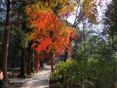 大麻比古神社のその他建物
