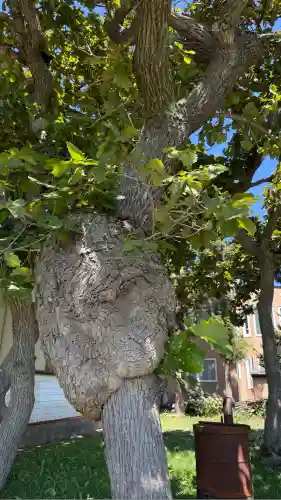 七重浜稲荷神社(北海道)