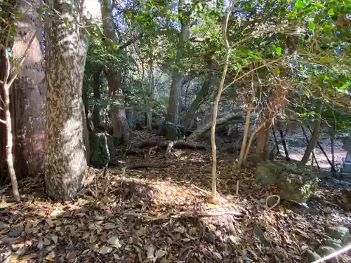 出雲大神宮(京都府)