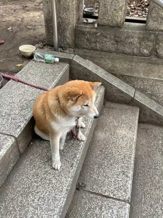 笠䅣稲荷神社(神奈川県)