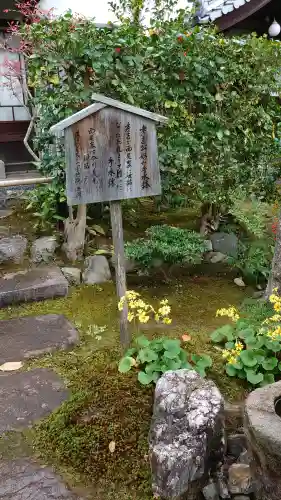 高台寺（高台寿聖禅寺・高臺寺）の{uncategorized: "未分類", other: "その他", undefined: "問題あり", building: "その他建物", grave: "お墓", sacred_gate: "鳥居", guardian: "狛犬", statue: "像", buddha: "仏像", history: "歴史", nature: "自然", garden: "庭園", animal: "動物", pagoda: "塔", temizu: "手水舎", mountain_gate: "山門・神門", sanctuary: "本殿・本堂", subordinate: "末社・摂社", art: "芸術", scenery: "景色", jizo: "地蔵", ema: "絵馬", goshuin: "御朱印", omikuji: "おみくじ", items: "授与品その他", amulet: "お守り", goshuincho: "御朱印帳", eats: "食事", festival: "お祭り", votive_dance: "神楽", shichigosan: "七五三参", wedding: "結婚式", experience: "体験その他", initially: "初詣", around: "周辺", anti_infection: "感染症対策"}