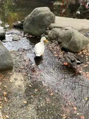 平塚八幡宮(神奈川県)