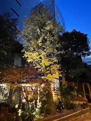 五十稲荷神社(栄寿稲荷神社)(東京都)