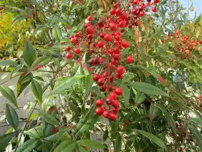長岳寺(奈良県)
