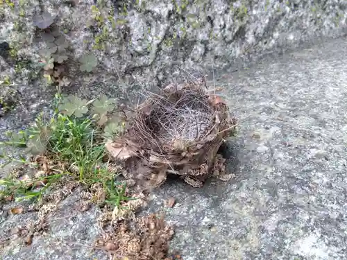 新宮神社(福井県)