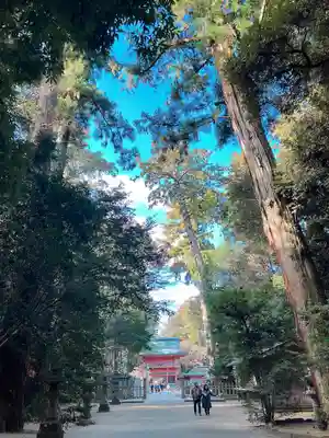 鹿島神宮(茨城県)