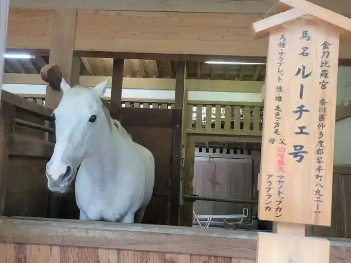 金刀比羅宮(香川県)