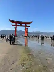 厳島神社(広島県)