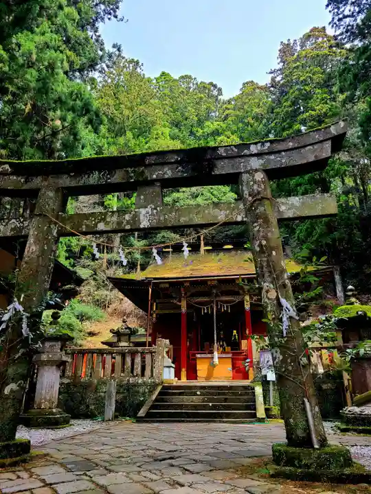 鳳来山東照宮の鳥居