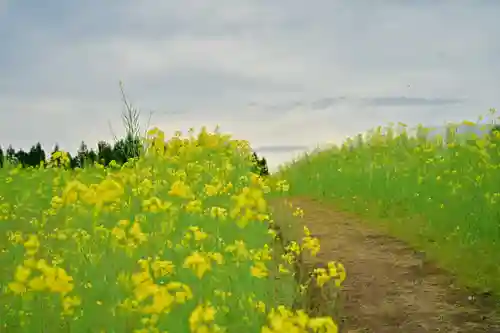 沢山神社（澤山神社)(新潟県)
