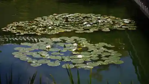 法華寺(奈良県)