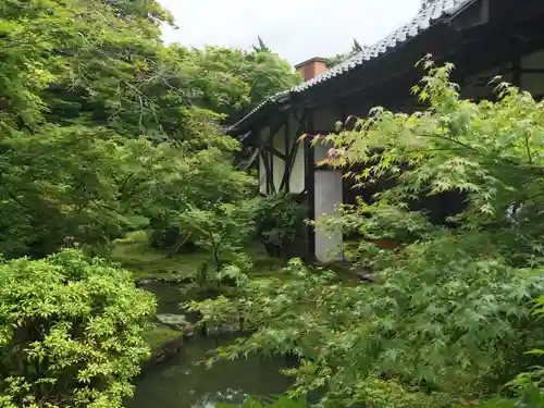 実相院門跡の庭園