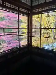 光明寺瑠璃光院(京都府)