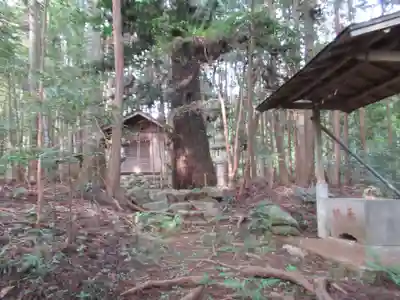 八幡神社(東京都)