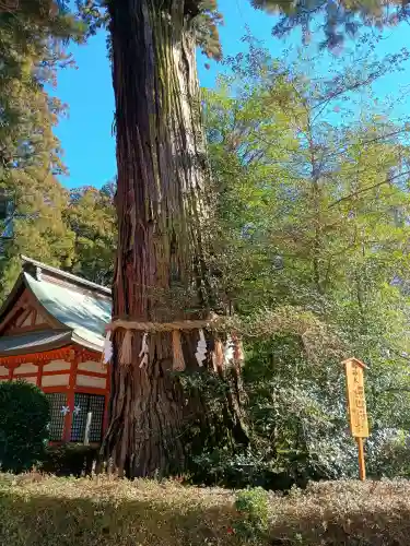 香取神宮の{uncategorized: "未分類", other: "その他", undefined: "問題あり", building: "その他建物", grave: "お墓", sacred_gate: "鳥居", guardian: "狛犬", statue: "像", buddha: "仏像", history: "歴史", nature: "自然", garden: "庭園", animal: "動物", pagoda: "塔", temizu: "手水舎", mountain_gate: "山門・神門", sanctuary: "本殿・本堂", subordinate: "末社・摂社", art: "芸術", scenery: "景色", jizo: "地蔵", ema: "絵馬", goshuin: "御朱印", omikuji: "おみくじ", items: "授与品その他", amulet: "お守り", goshuincho: "御朱印帳", eats: "食事", festival: "お祭り", votive_dance: "神楽", shichigosan: "七五三参", wedding: "結婚式", experience: "体験その他", initially: "初詣", around: "周辺", anti_infection: "感染症対策"}