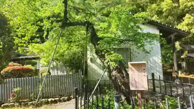 大蔵寺(福島県)