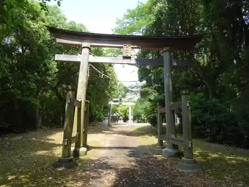 平尾八幡神社の鳥居