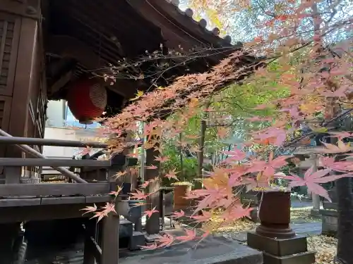 四合稲荷神社(東京都)