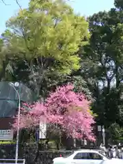 五條天神社の建物その他