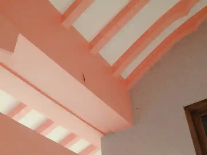 屋久島大社の動物