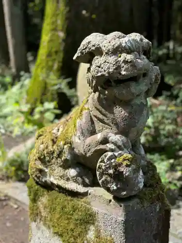 富士山東口本宮 冨士浅間神社の狛犬