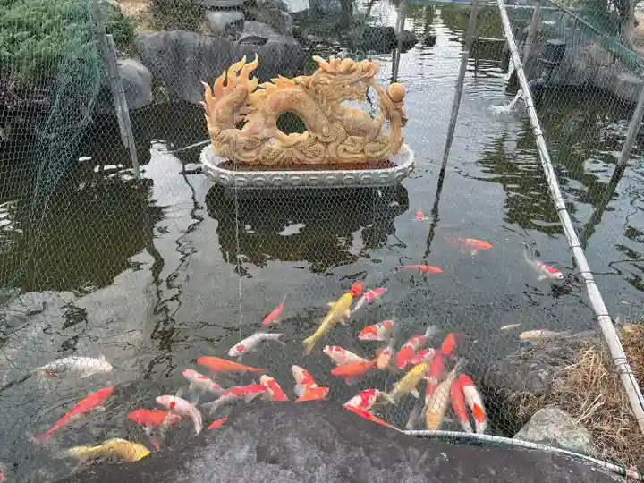 龍華寺(静岡県)