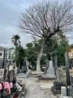 正慶寺の{uncategorized: "未分類", other: "その他", undefined: "問題あり", building: "その他建物", grave: "お墓", sacred_gate: "鳥居", guardian: "狛犬", statue: "像", buddha: "仏像", history: "歴史", nature: "自然", garden: "庭園", animal: "動物", pagoda: "塔", temizu: "手水舎", mountain_gate: "山門・神門", sanctuary: "本殿・本堂", subordinate: "末社・摂社", art: "芸術", scenery: "景色", jizo: "地蔵", ema: "絵馬", goshuin: "御朱印", omikuji: "おみくじ", items: "授与品その他", amulet: "お守り", goshuincho: "御朱印帳", eats: "食事", festival: "お祭り", votive_dance: "神楽", shichigosan: "七五三参", wedding: "結婚式", experience: "体験その他", initially: "初詣", around: "周辺", anti_infection: "感染症対策"}