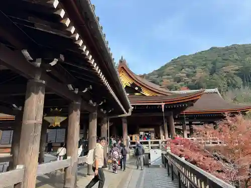 清水寺の本殿・本堂
