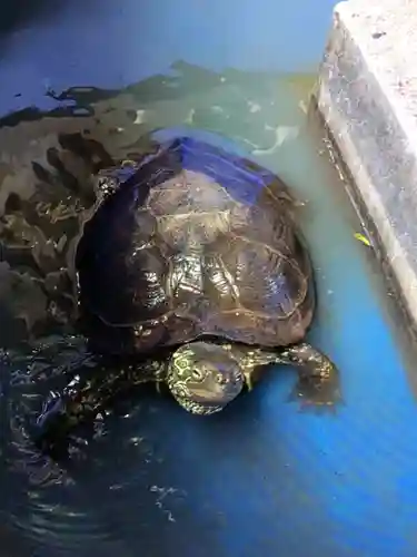 下谷神社(東京都)