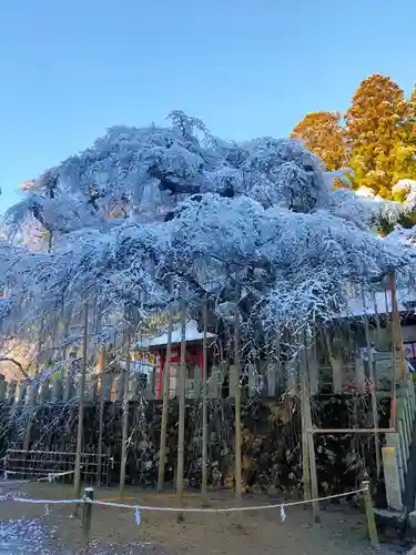 小川諏訪神社(福島県)
