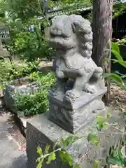 川之江八幡神社の狛犬