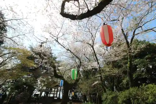 弘法山　大師堂(神奈川県)