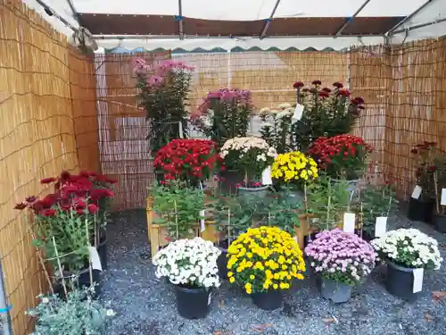 新町御嶽神社(東京都)