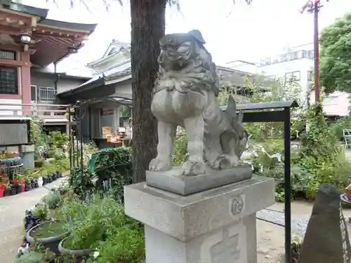 今戸神社の狛犬