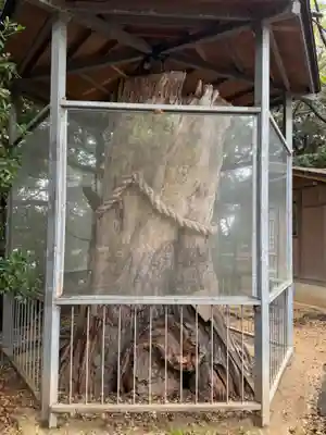 長浜神社(島根県)