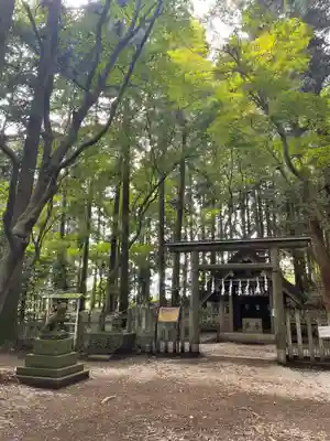 宝登山神社奥宮(埼玉県)