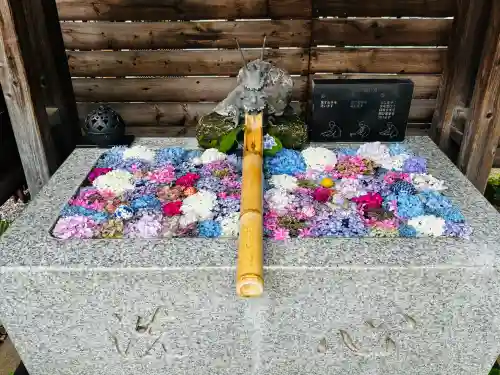 鎮守氷川神社(埼玉県)