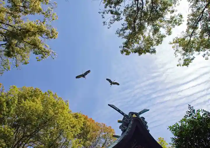 三津厳島神社(愛媛県)